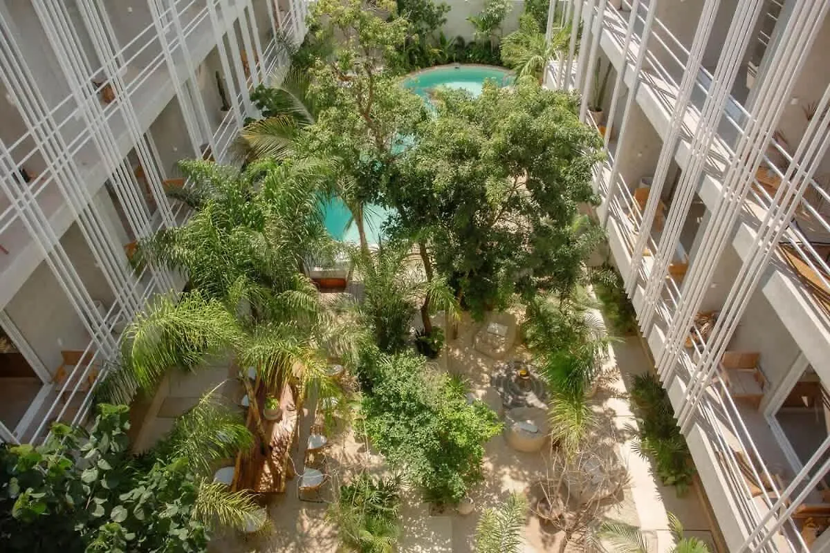 Design Loft Apartment In La Veleta 图卢姆