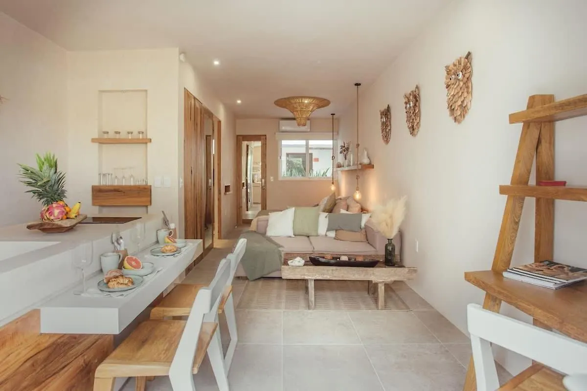 Design Loft Apartment In La Veleta 图卢姆